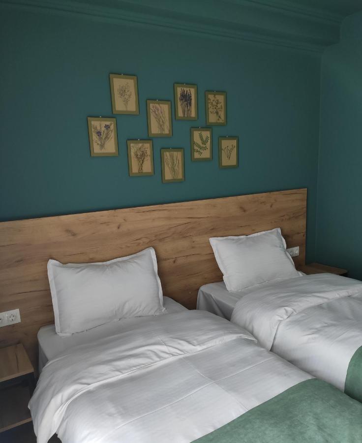 Northgate Hotel Kazbegi Extérieur photo
